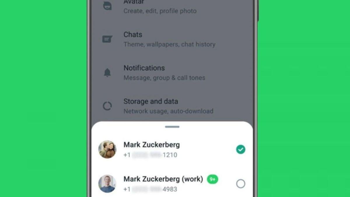 Multiple Whatsapp Accounts